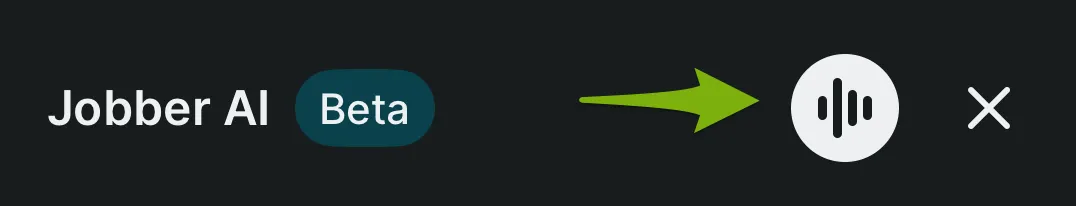 voice icon.png