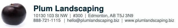 PDF header showing contact information and company logo
