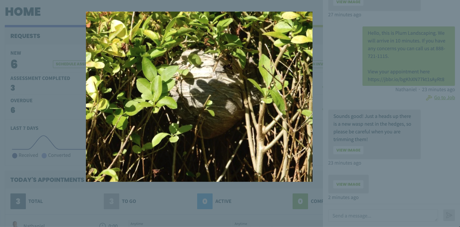 image sent by the client of a wasp nest in their yard