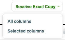 receive excel copy options for the columns of the report that is emailed to them