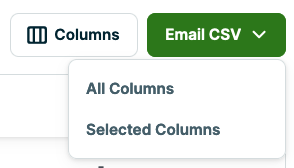 receive excel copy options for the columns of the report that is emailed to them