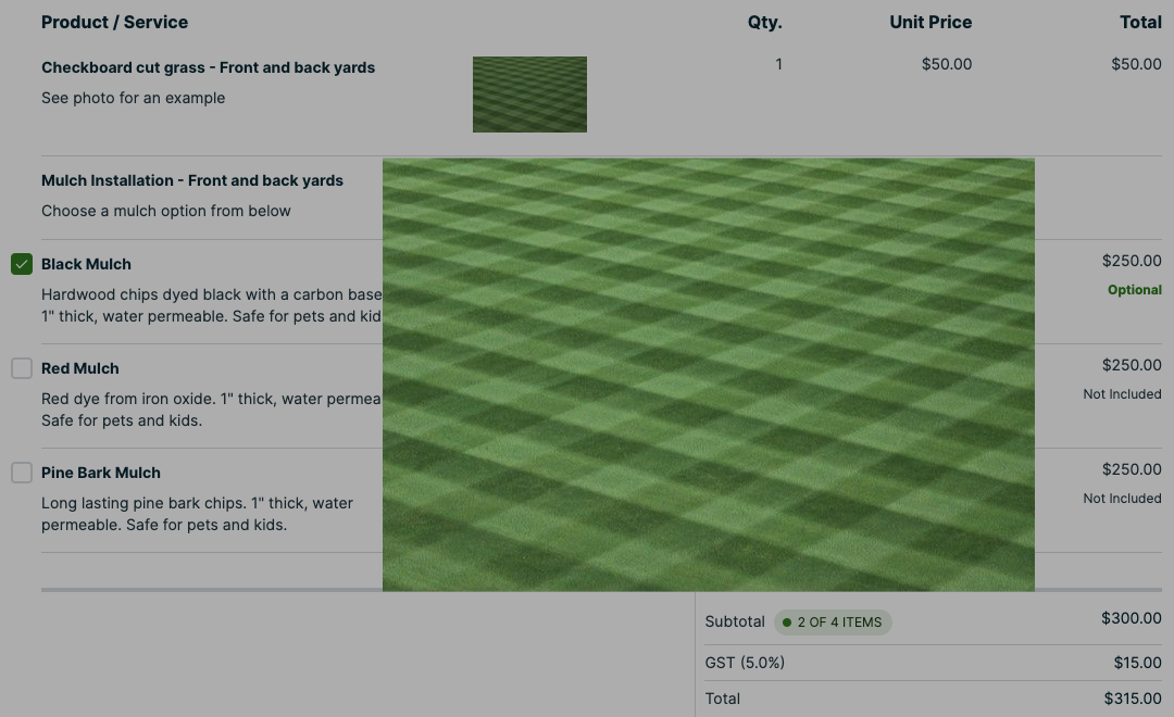 enlarged image of one of the line item image thumbnails